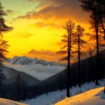 winter, snow, winter forest-8509832.jpg